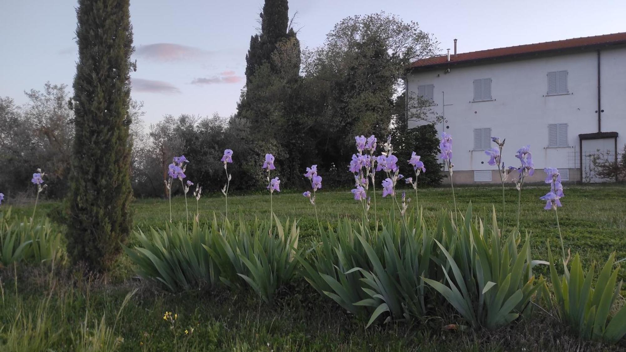 Borgo Iris Villa Pietraia Exterior foto